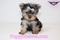 Click to view classifieds MCKUQSZO