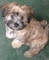 Click to view classifieds DMSUWNTC