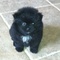 Click to view classifieds NJMAYBZY