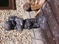 Click to view classifieds HQTCFRNP