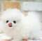 Click to view classifieds DAVQBVGB
