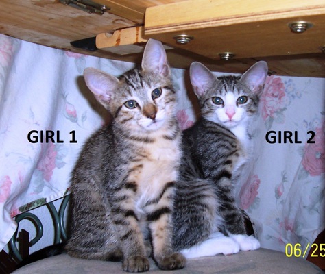 We Need A Good Home!