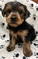 Click to view classifieds RJQHDGST