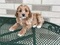 Click to view classifieds KTOMQFWT