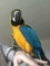 Click to view classifieds DKMZDFML