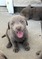 Click to view classifieds PVPTHRSY