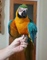 Click to view classifieds VYPCUDMG