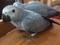 Click to view classifieds JKKEWXVZ
