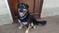 Click to view classifieds GDMHCJWJ