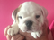 Click to view classifieds HONXVQEJ