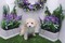 Click to view classifieds RZHDNVAQ