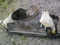 Click to view classifieds NCLRTXHE