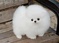 Click to view classifieds ZPABGJUN