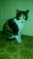 Click to view classifieds BXNWDSRQ