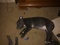 Click to view classifieds WKNGAQSJ