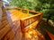 Click to view classifieds UXKHDCWR