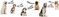 Click to view classifieds SDEDVRYX