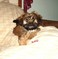 Click to view classifieds HZZXSNYO