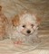 Click to view classifieds NXVFJVBB