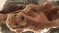 Click to view classifieds HBKJPHTM