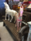 Click to view classifieds MMFQNHCX