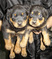 Click to view classifieds ZACLCVVM