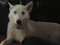 Click to view classifieds YLQTHQWC