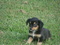 Click to view classifieds EWERGHZA