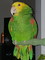 Click to view classifieds TRYWRWXA