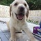 Click to view classifieds GHTOYYOG
