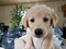 Click to view classifieds DCPCNZRA