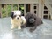 Click to view classifieds PFRKPULW