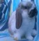 Click to view classifieds RCSDUZAH