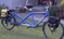 Click to view classifieds QKVGWCRX