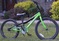 Click to view classifieds RRZWNDTX