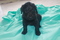 Click to view classifieds MCXSVBLC