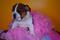 Click to view classifieds PZOQGMDC