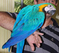 Click to view classifieds STPGKQYF