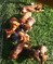 Click to view classifieds SDLZWCEN
