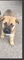 Click to view classifieds AEFKMVSN