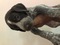 Click to view classifieds TGPQEHYZ