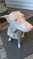 Click to view classifieds ULURKJYV