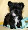 Click to view classifieds WWXQWJWG