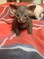 Click to view classifieds BYTULCAJ