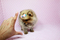 Click to view classifieds EBYZOBEZ