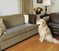 Click to view classifieds SPYWDWOH