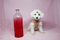 Click to view classifieds YYCUCRFU