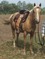 Click to view classifieds KOADFPJJ