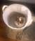 Click to view classifieds KOUTZNAE