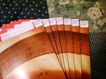 Lifepac 10 Books 4-10